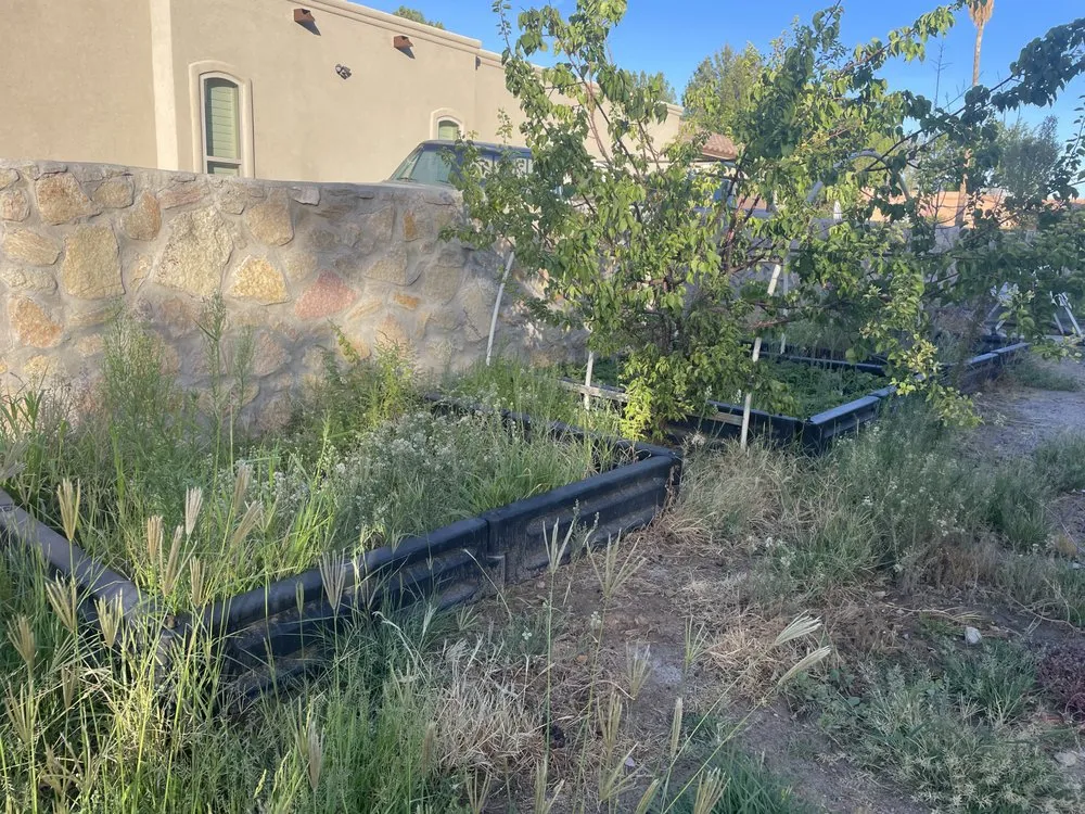 Reliable landscape design in Las Cruces, NM - JST Lawn Maintenance