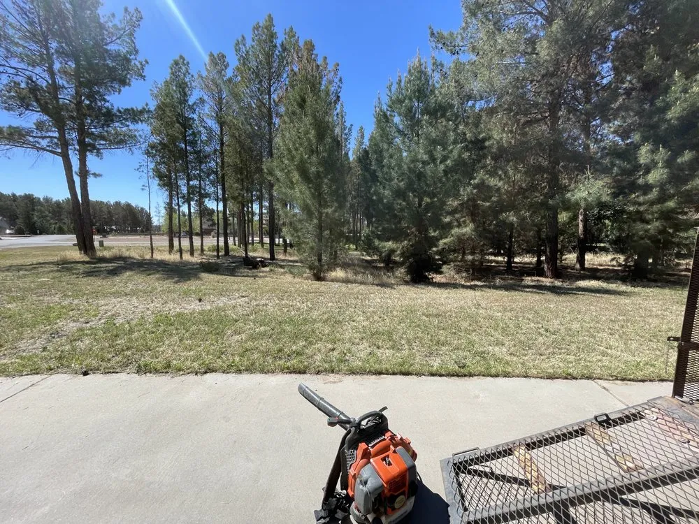 Professional landscape design experts serving Las Cruces, NM - JST Lawn Maintenance