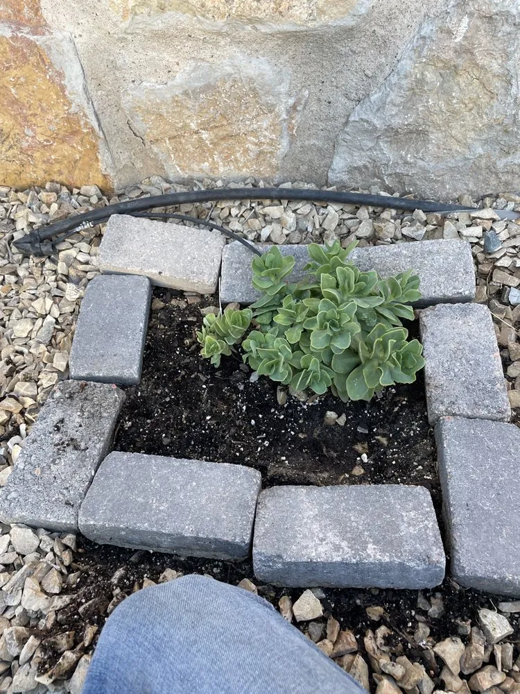 Expert yard cleanup service in Las Cruces, NM - JST Lawn Maintenance