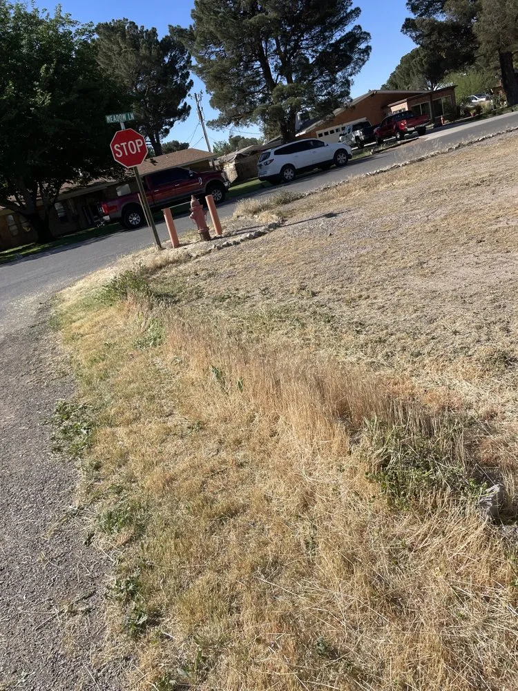 Local landscape installation experts serving Las Cruces, NM - JST Lawn Maintenance