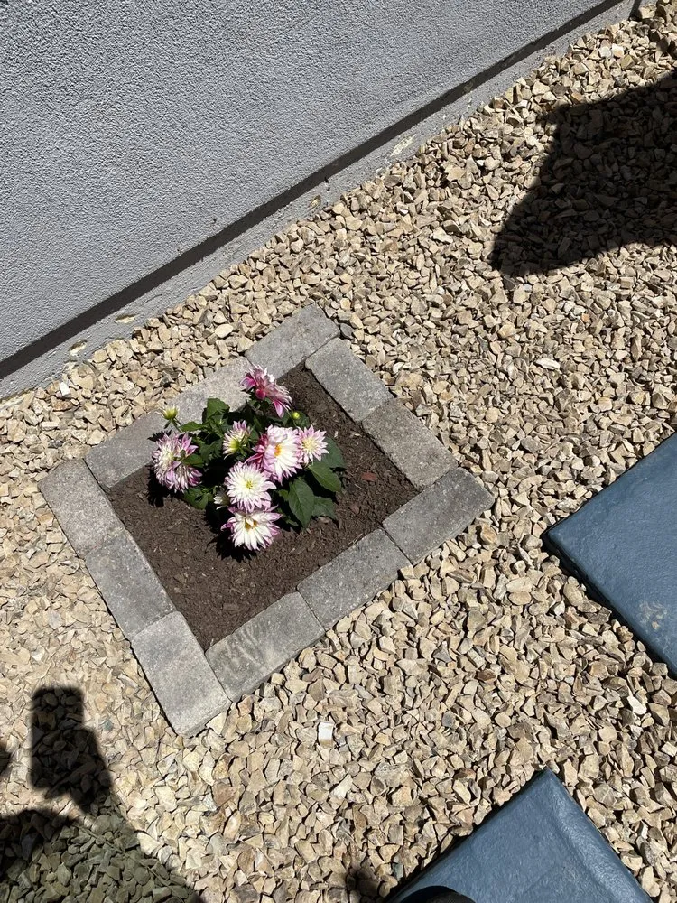 Trusted yard maintenance for homes across Las Cruces, NM - JST Lawn Maintenance