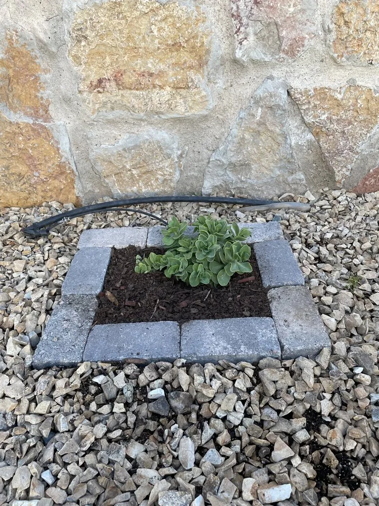 Local landscape design in Las Cruces, NM - JST Lawn Maintenance