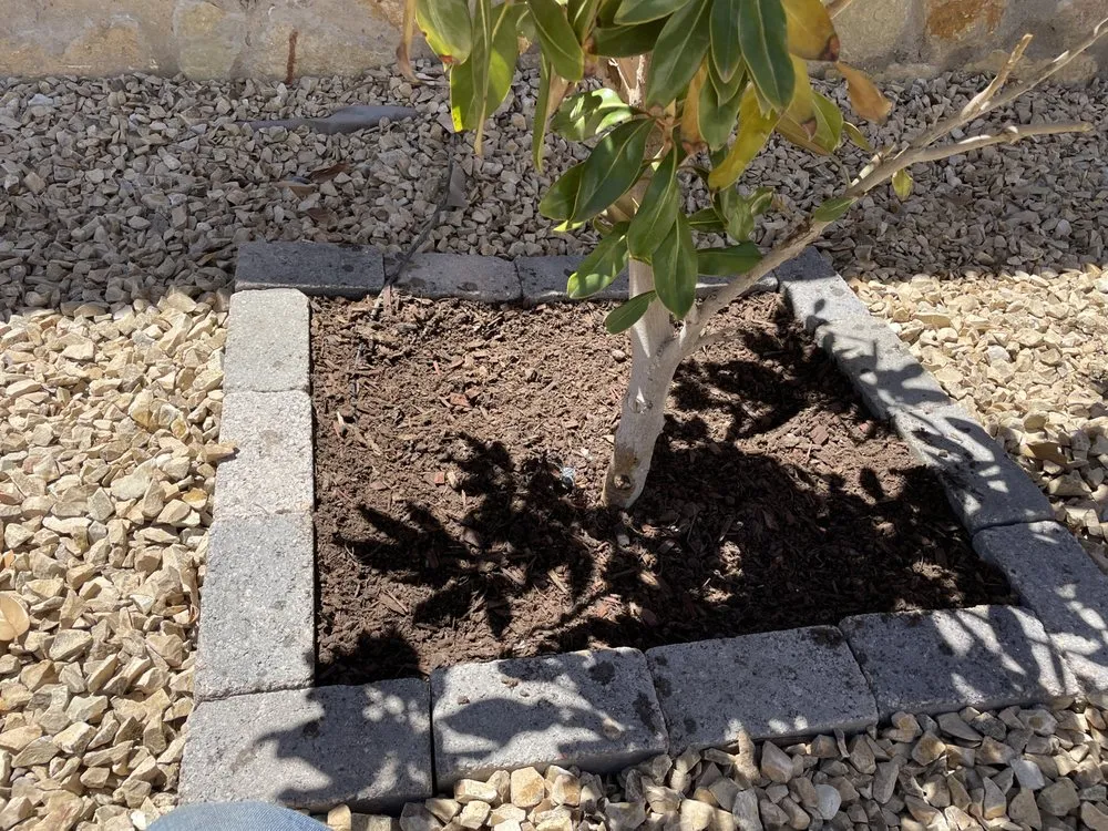 Professional residential landscaping with custom design across Las Cruces, NM - JST Lawn Maintenance