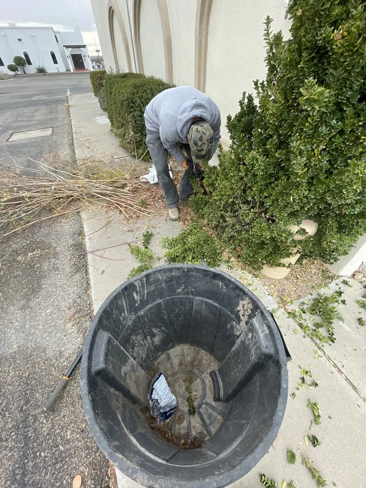 Expert garden landscaping in Las Cruces, NM - JST Lawn Maintenance