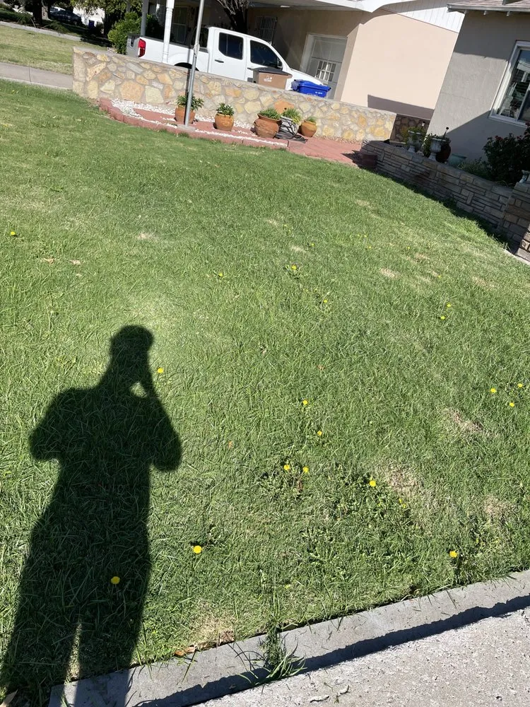 Professional yard maintenance experts serving Las Cruces, NM - JST Lawn Maintenance