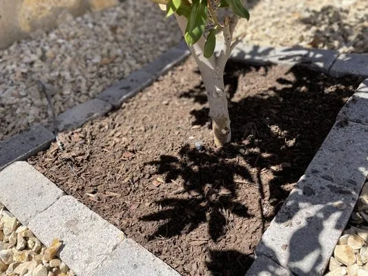 JST Lawn Maintenance Logo