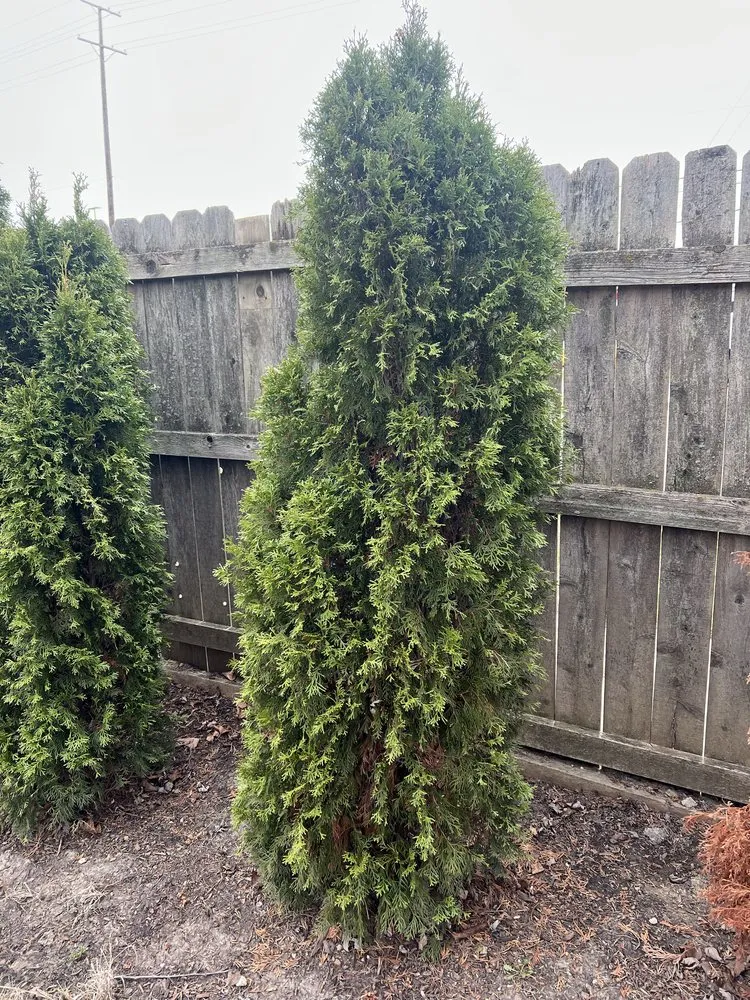 Affordable landscape design in Lakemoor, IL by JT Cachorros Landscaping Plus