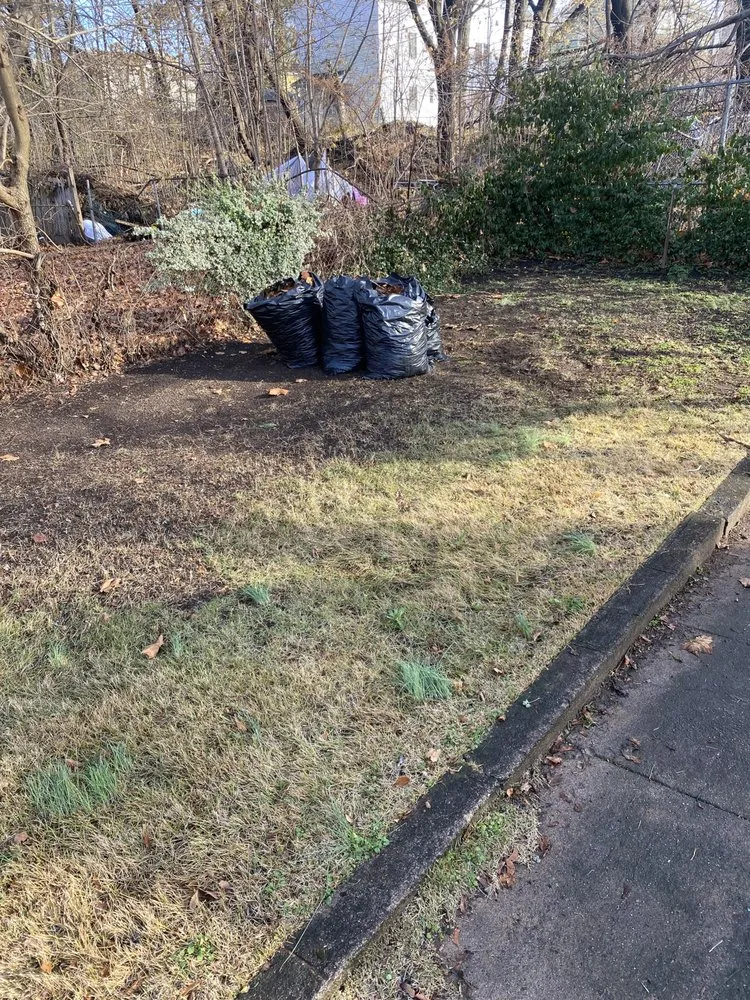 Expert yard cleanup service in Hamden, CT by J&T Handyman services