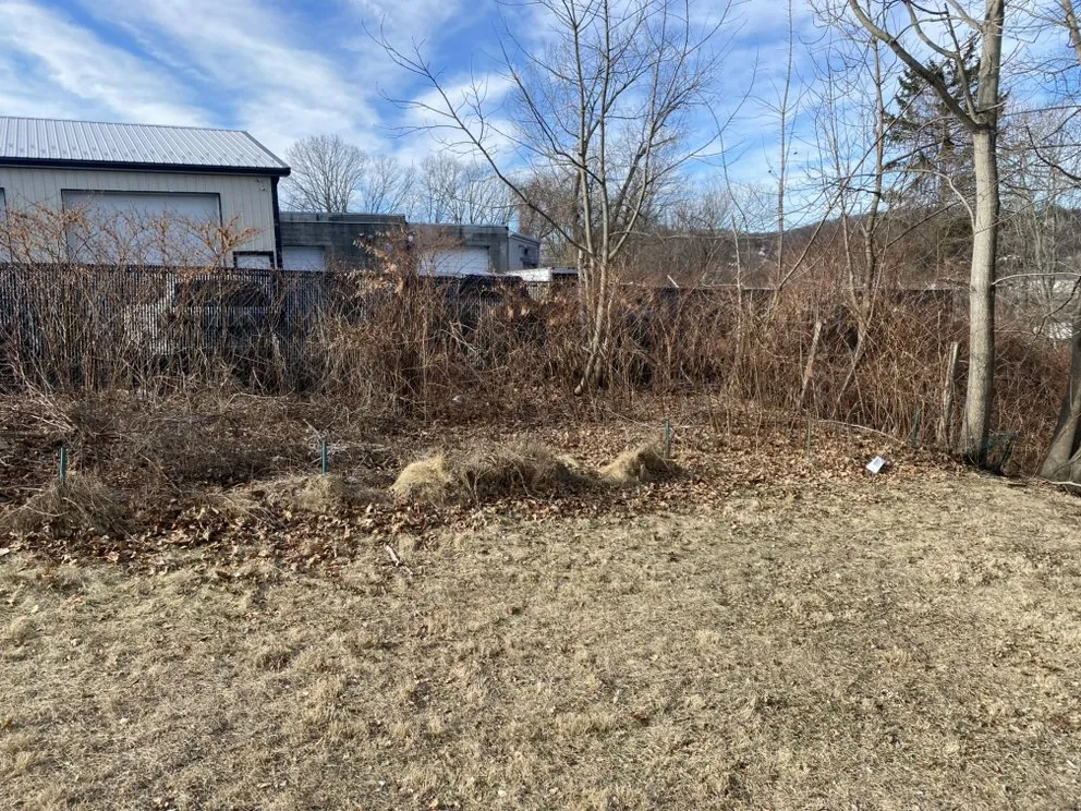 Trusted residential landscaping in Hamden, CT by J&T Handyman services