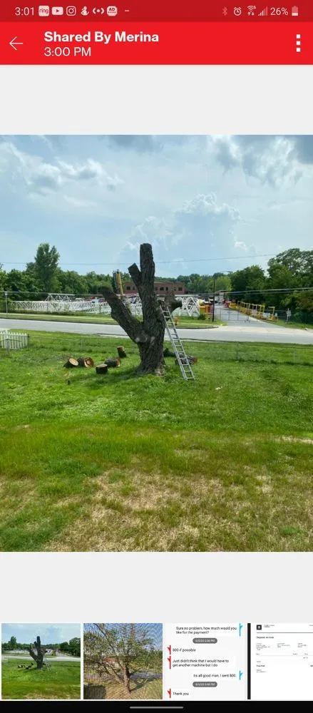 Affordable residential landscaping in Essex, MD - JT Hauling and Services