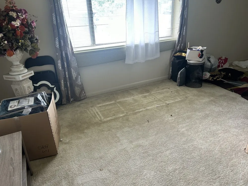 Top-rated lawn care service with custom design in Essex, MD by JT Hauling and Services