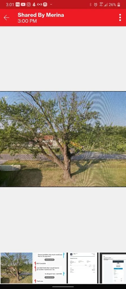 Expert outdoor landscaping near you in Essex, MD by JT Hauling and Services