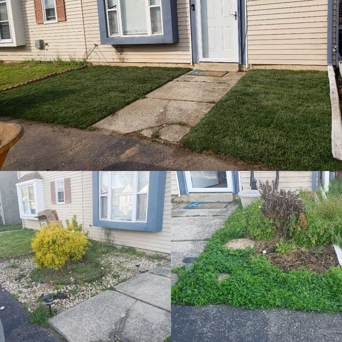 Reliable landscape design experts serving Williamstown, NJ - JT Landscape & Organic Lawn Care
