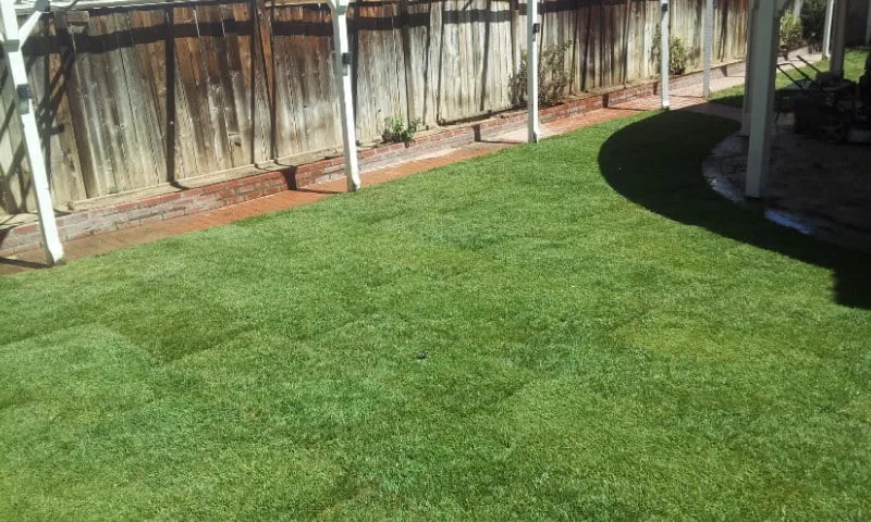 Custom landscape installation in Lancaster, CA by J.T. Landscape Care