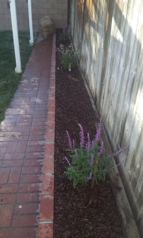 Affordable lawn care service for year-round maintenance across Lancaster, CA - J.T. Landscape Care