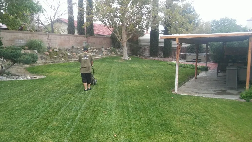 Top-rated yard maintenance in Lancaster, CA - J.T. Landscape Care