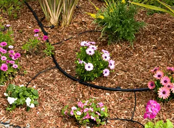 Local landscaping services in Lancaster, CA - J.T. Landscape Care