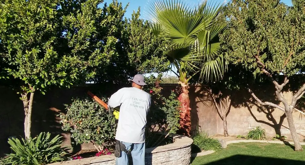 Top-rated landscape design in Lancaster, CA - J.T. Landscape Care