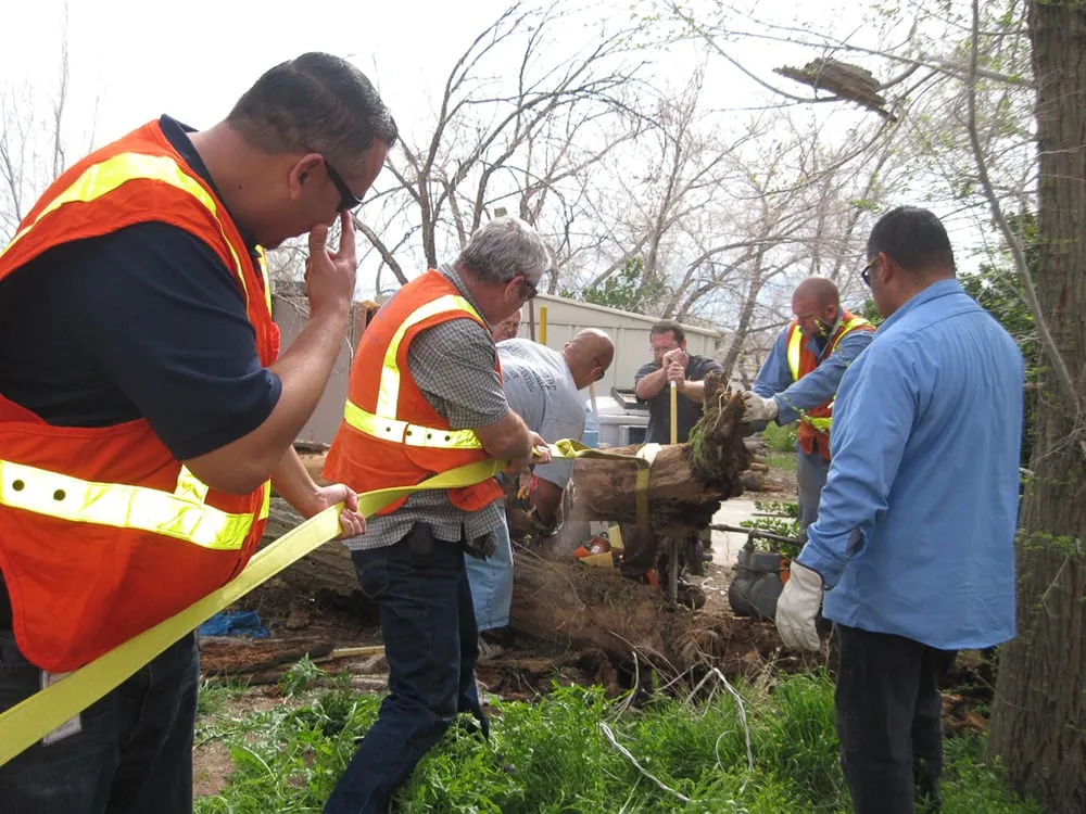 Custom yard cleanup service for residential properties across Lancaster, CA - J.T. Landscape Care
