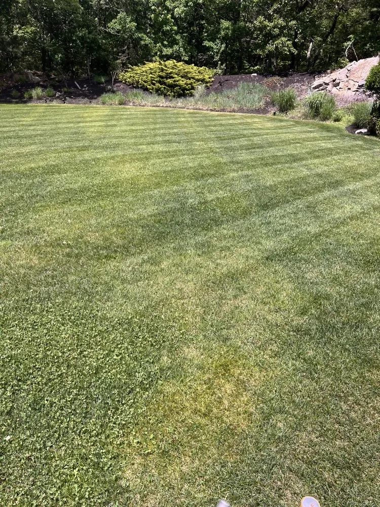 Reliable lawn care service with custom design across Somerville, MA - Jt Landscaping And Carpenter