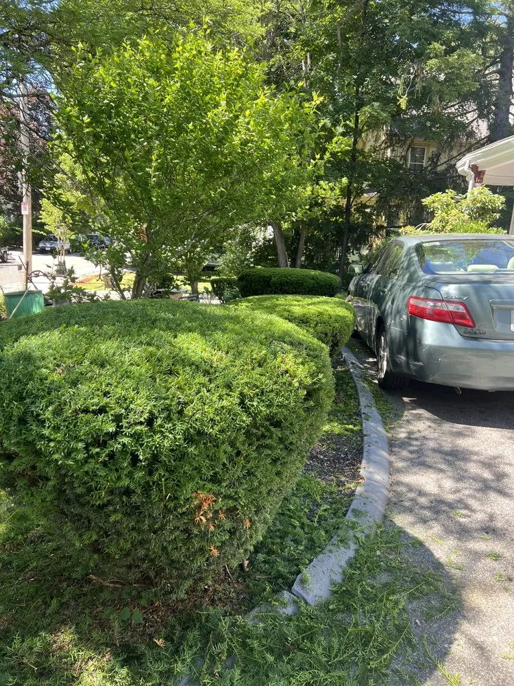 Custom yard cleanup service in Somerville, MA by Jt Landscaping And Carpenter