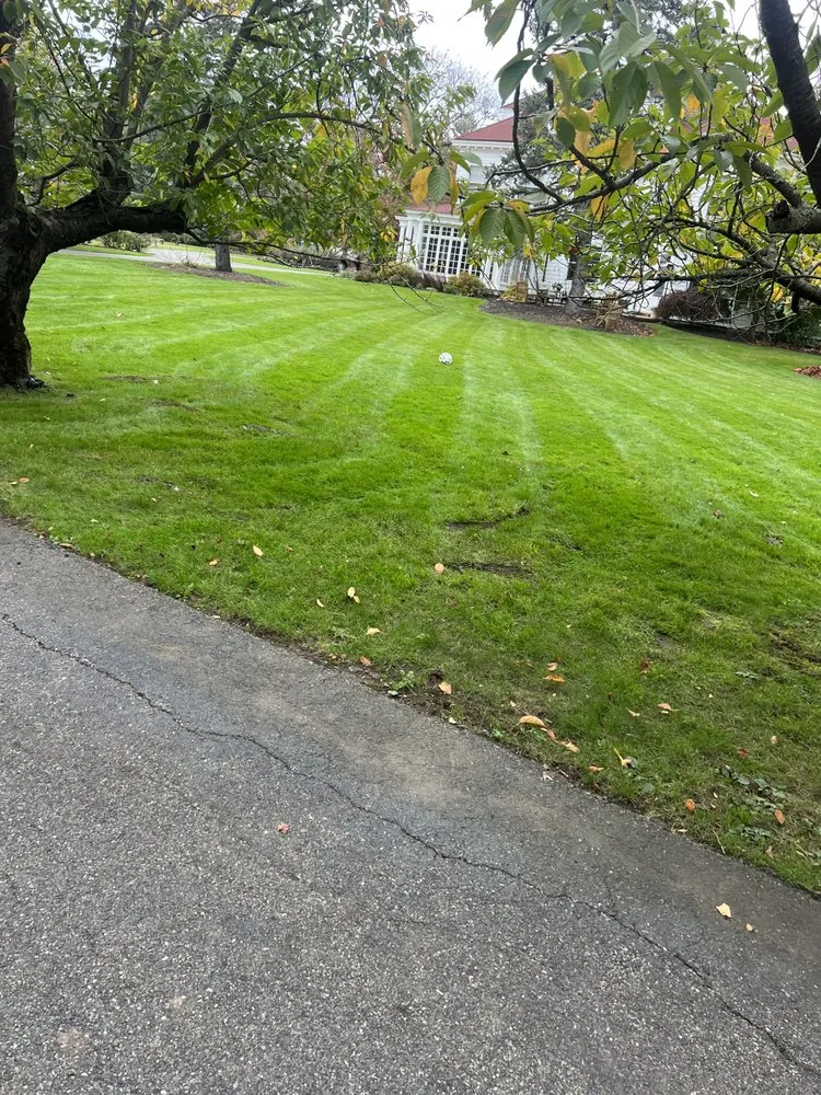 Trusted yard cleanup service experts serving Somerville, MA - Jt Landscaping And Carpenter