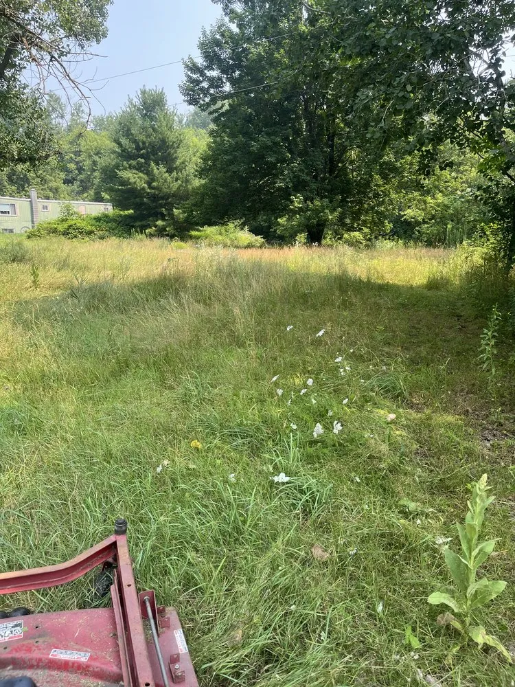 Top-rated yard maintenance near you across Almena, WI - JT Landscaping and Services