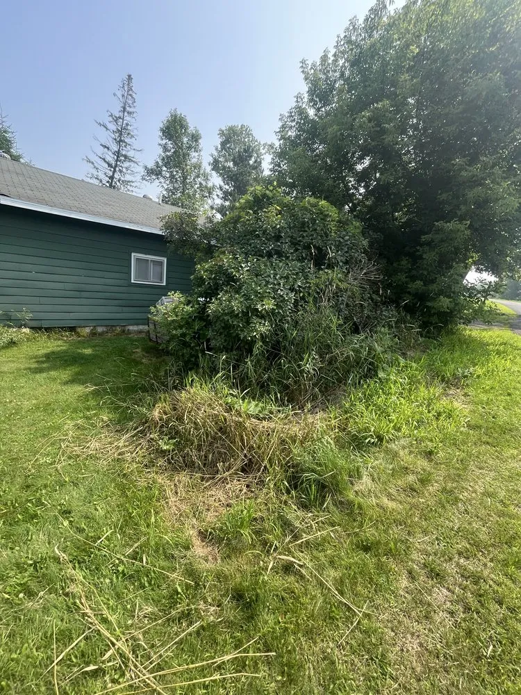 Reliable yard cleanup service for beautiful yards in Almena, WI by JT Landscaping and Services