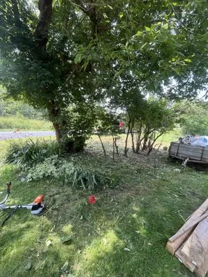 JT Landscaping and Services