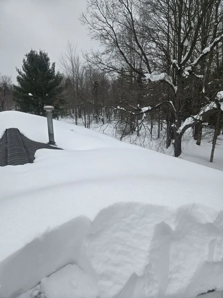 Trusted landscape installation for year-round maintenance across Mancelona, MI - J&T Landscaping and Snow Removal