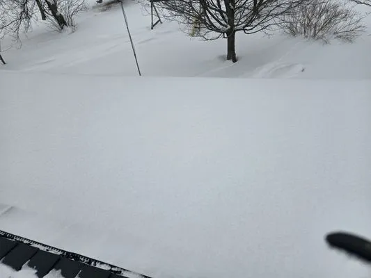 J&T Landscaping and Snow Removal Logo