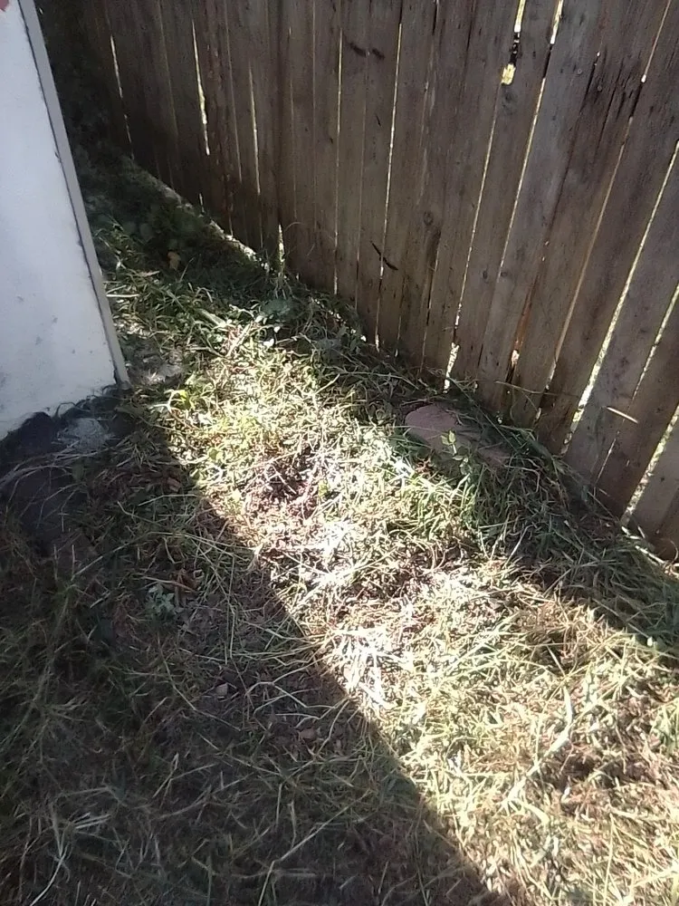 Affordable landscaping services in Collingdale, PA - JT Landscaping