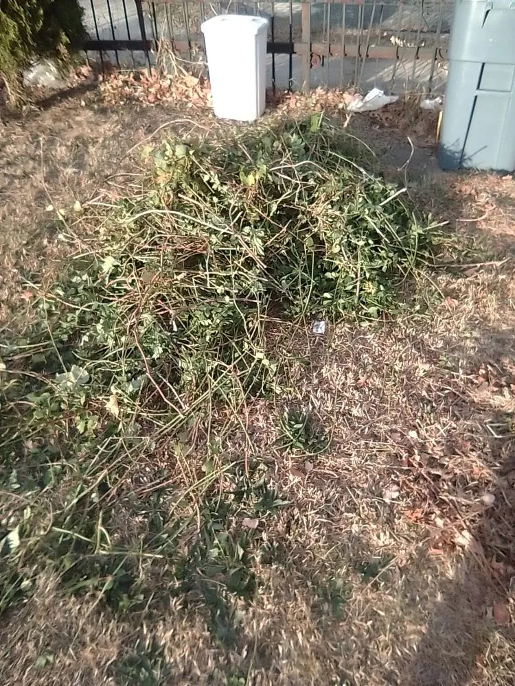 Local lawn mowing service in Collingdale, PA by JT Landscaping