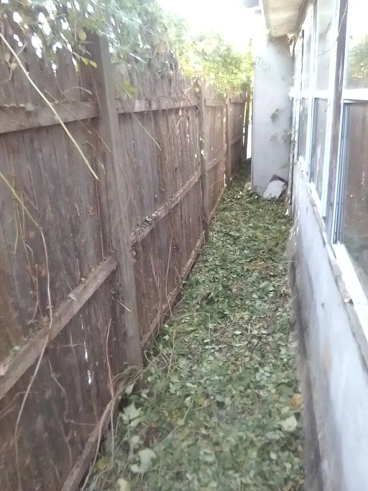 Reliable landscaping services in Collingdale, PA - JT Landscaping