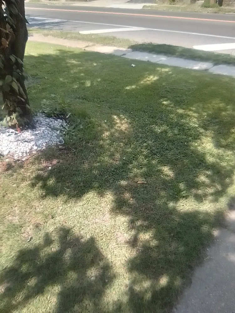 Local landscape installation in Collingdale, PA by JT Landscaping