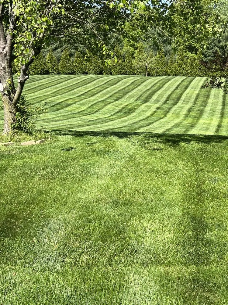 Professional yard cleanup service experts serving Edinburgh, IN - J&T landscaping