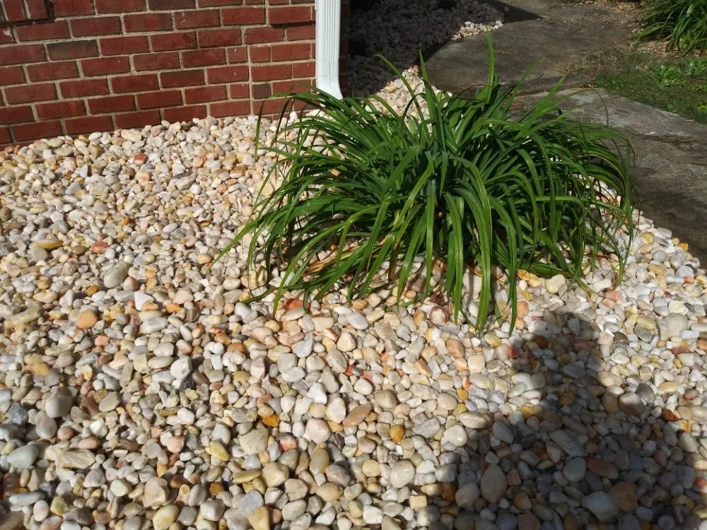 Top-rated yard cleanup service in Elm City, NC - J&T Landscaping