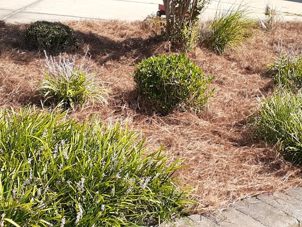 Local landscape installation in Elm City, NC - J&T Landscaping