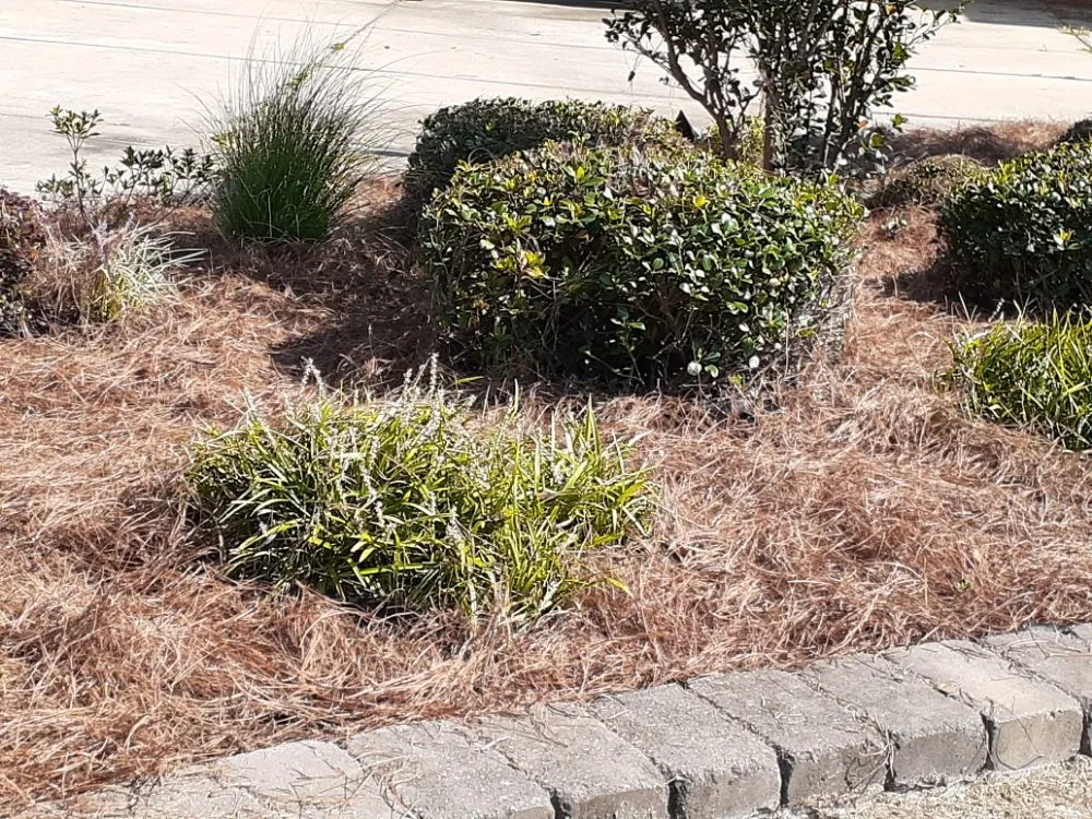 Reliable landscaping services experts serving Elm City, NC - J&T Landscaping