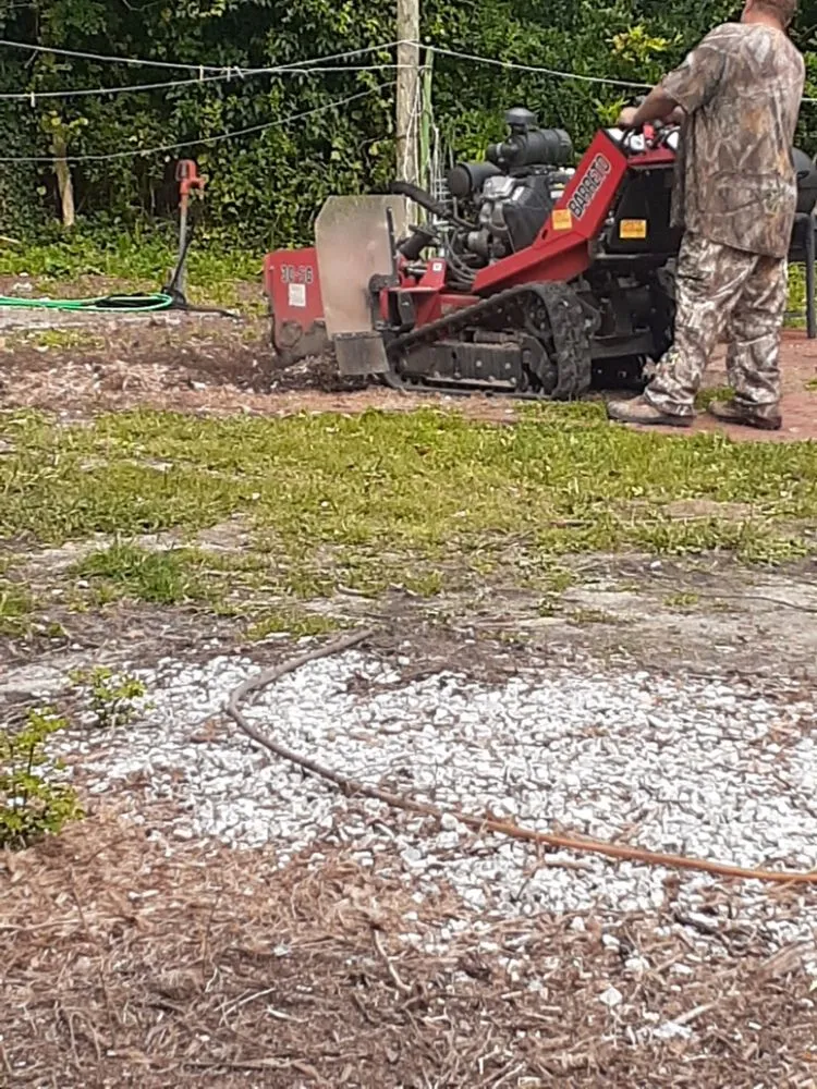 Top-rated yard maintenance experts serving Elm City, NC - J&T Landscaping