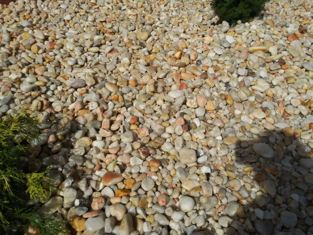 Top-rated yard maintenance in Elm City, NC by J&T Landscaping