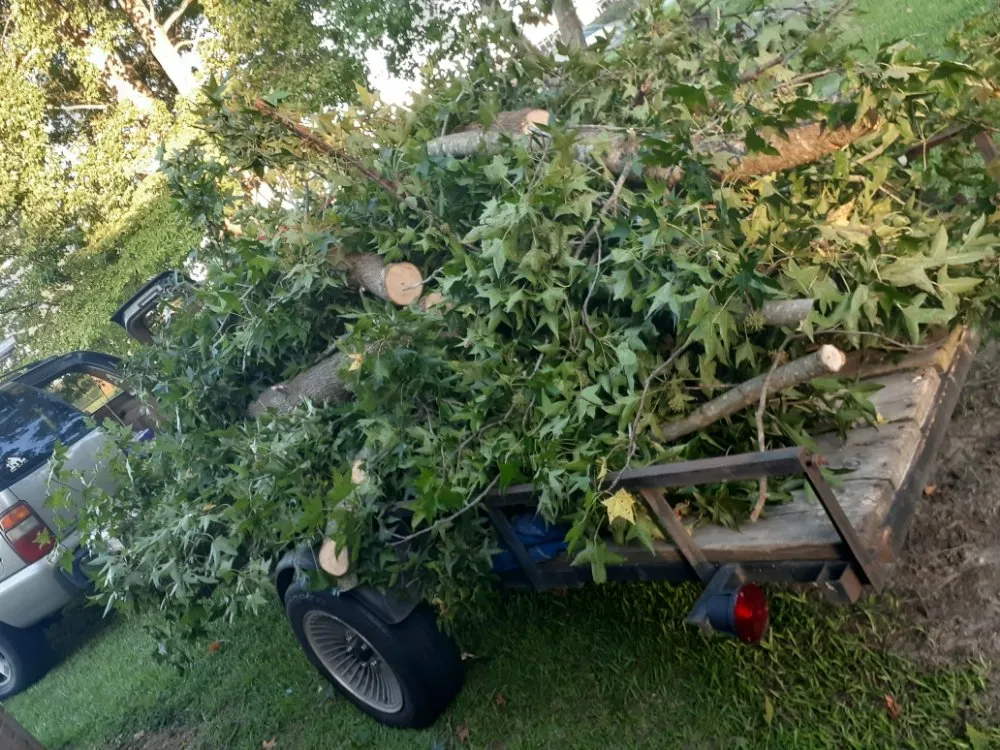 Professional outdoor landscaping for outdoor upgrades across Elm City, NC - J&T Landscaping