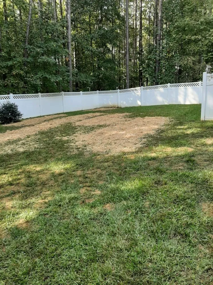 Top-rated landscape design experts serving Elm City, NC - J&T Landscaping