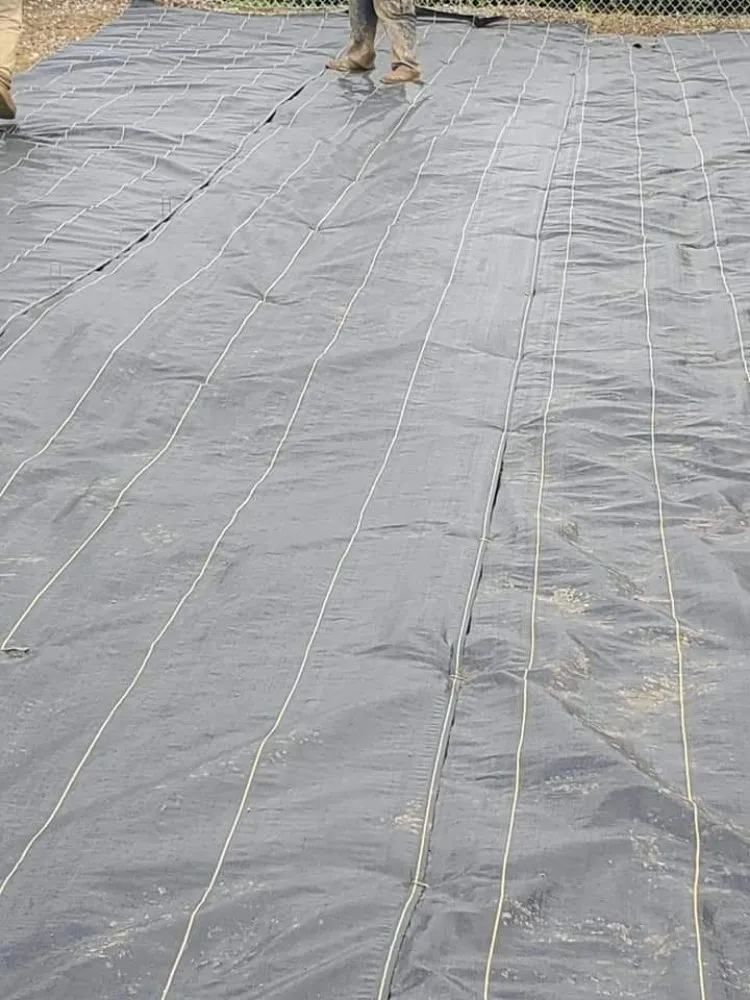 Custom landscape design in Elm City, NC by J&T Landscaping