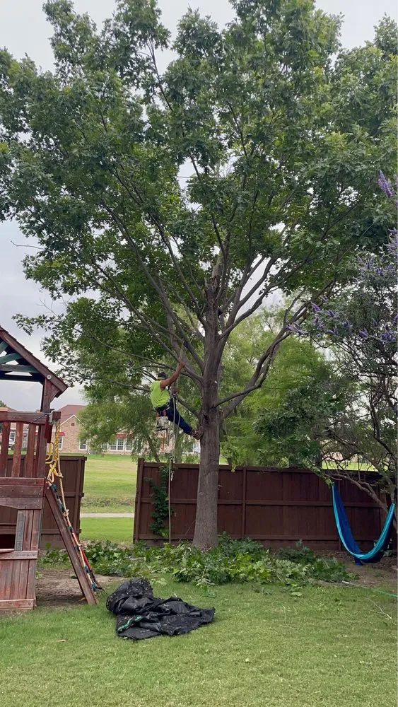 Custom garden landscaping with custom design in Fort Worth, TX by JT Landscaping