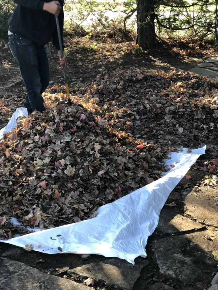 Affordable yard maintenance in Galt, CA - J&T Landscaping