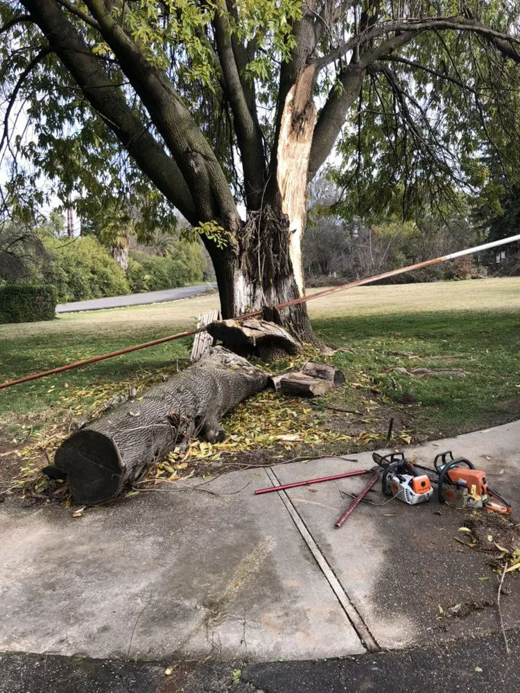 Expert landscape design in Galt, CA by J&T Landscaping