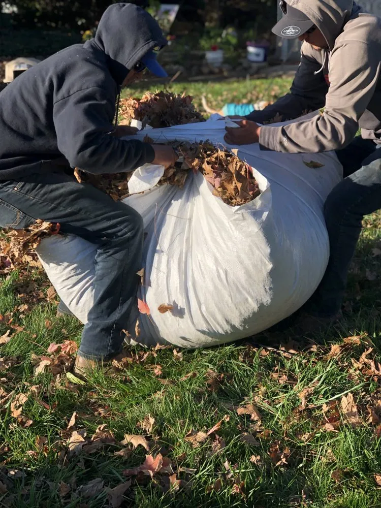 Reliable landscape design in Galt, CA - J&T Landscaping