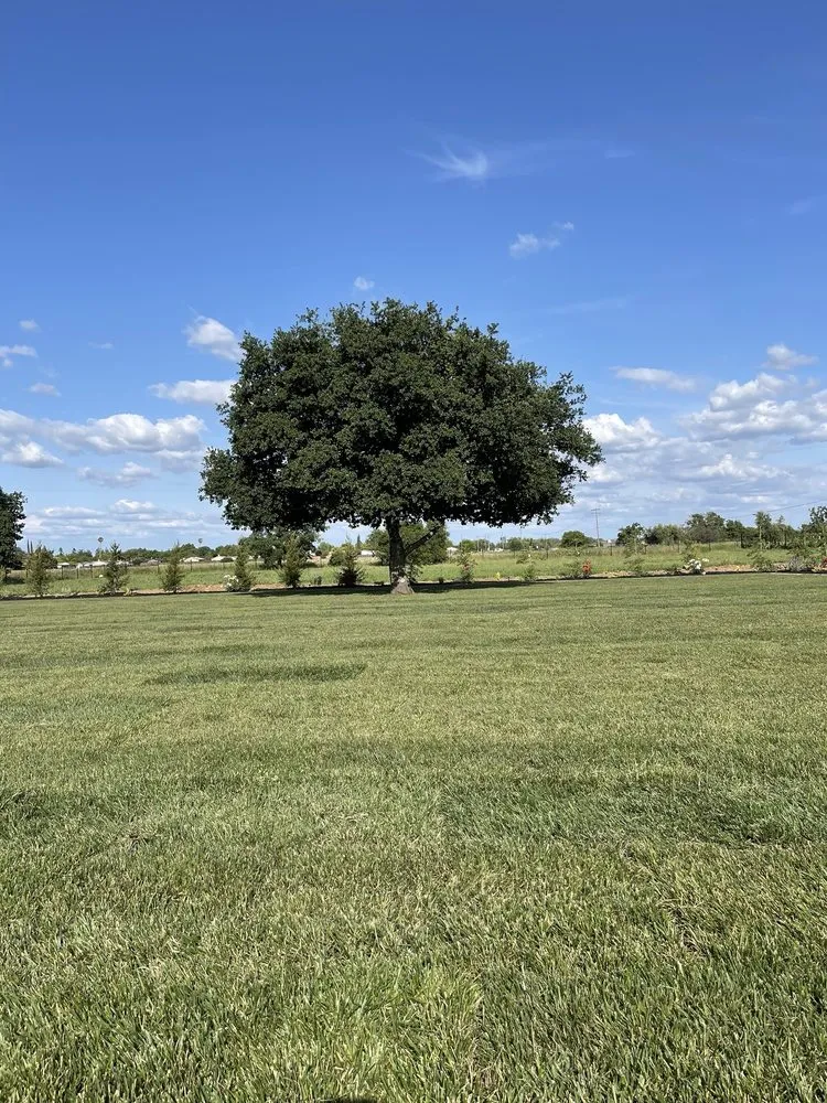 Local outdoor landscaping in Galt, CA by J&T Landscaping