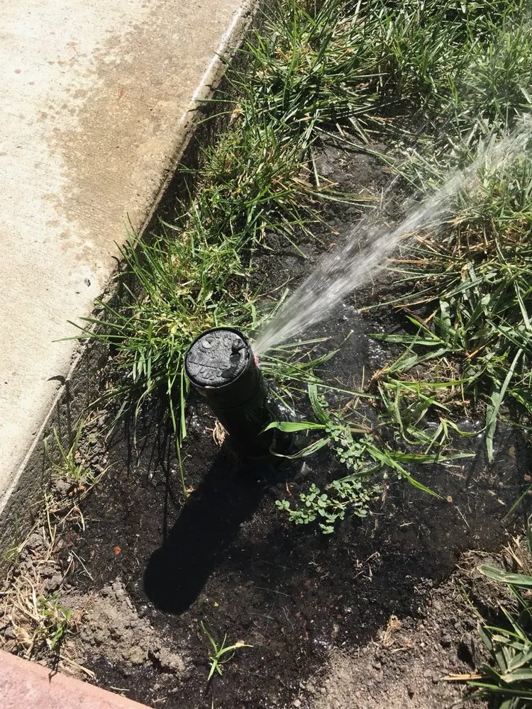 Custom lawn care service near you in Galt, CA by J&T Landscaping